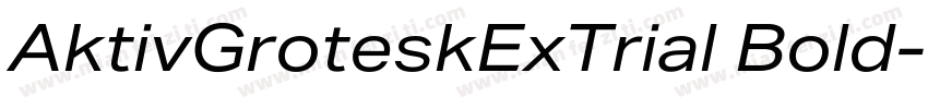 AktivGroteskExTrial Bold字体转换